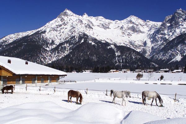Strasserwirt -Reiten in Kitzbühels Alpen (Sankt Ulrich am Pillersee)